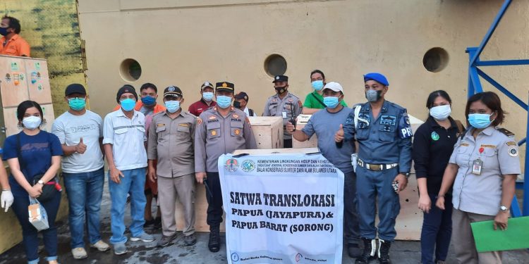 Bersama BKSDA, Karantina Pertanian Manado Translokasi 107 Satwa Endemik Papua