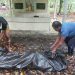 Mayat Pria Ditemukan di Kebun Karet, Warga Lirung Gempar