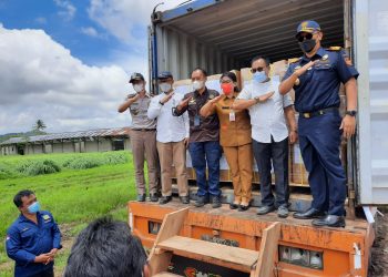  2 Ton Tanaman Stevia Sulut Diekspor Perdana ke Korea Selatan