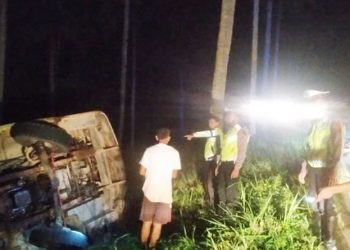 Bus Tujuan Palu Terguling di Bolmong Utara, Gagal Menanjak lalu Mundur Tabrak Pohon Kelapa