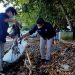 Bersihkan Pantai Malalayang, Ratusan Rimbawan Sulut Kumpulkan Ratusan Kilo Sampah