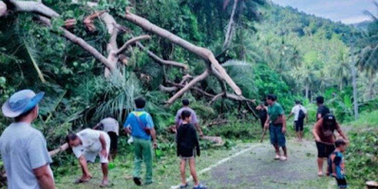 Diterpa Angin Kencang, Pohon dan Tiang Listrik di Kareko Bitung Tumbang