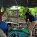 Pelaku Judi Sabung Ayam di Kota Bitung Lari Pontang Panting saat Digerebek Polisi