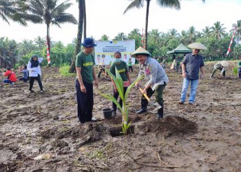 Diguyur Bantuan, Kementan Dorong Petani Sulut Terus Budidayakan Kelapa