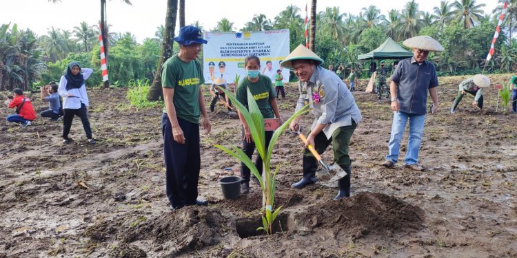 Diguyur Bantuan, Kementan Dorong Petani Sulut Terus Budidayakan Kelapa