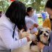 Peringati Hari Rabies Sedunia, Ribuan Vaksin Diberikan Secara Gratis di Manado