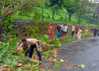 Pohoh Tumbang di Jalan Sudirman Manado, 1 Kendaraan Ringsek