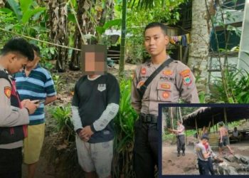 Judi Sabung Ayam di Desa Tikela Digerebek Polisi