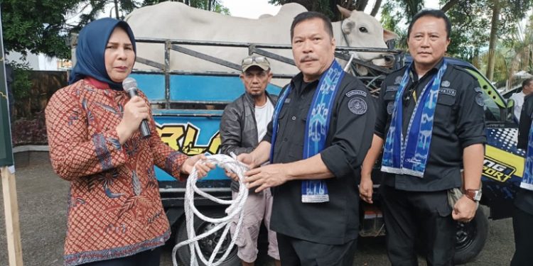 Kunker ke Kotamobagu, Jan S Maringka Serahkan Hewan Kurban