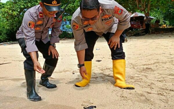 Kapolresta Manado Ikuti Gerakan Penanaman 3.000 Bibit Pohon Mangrove dan Pelepasan 500 Tukik di Bunaken