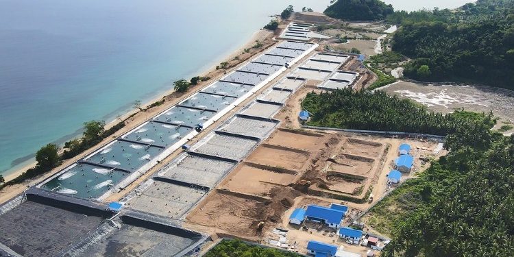 Respons Cepat PLN UP3 Tolitoli Layani Permintaan Tambah Daya dari PT Esaputlii Prakarsa Utama