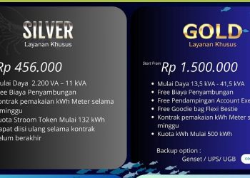 Flexi Bestie, Inovasi PLN untuk Masa Depan Industri Perikanan