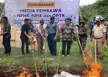 Tidak Miliki Dokumen Karantina, Puluhan Ekor Ayam Filipina Dimusnahkan