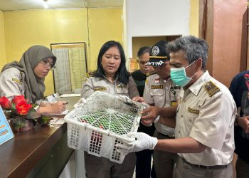 Karantina Sulawesi Utara Gagalkan Penyelundupan Satwa Liar Dilindungi