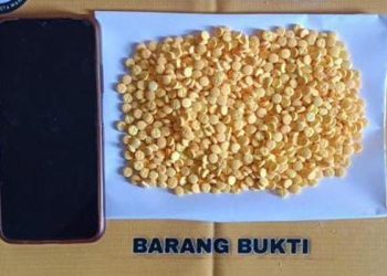 Bawa 1.000 Butir Trihexyphenidyl, Warga Sjngkil Ditangkap Polisi 