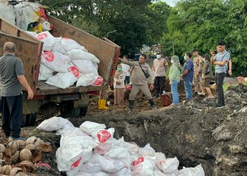 Karantina Sulawesi Utara Musnahkan Satu Kontainer Daging Ayam Tidak Layak Konsumsi