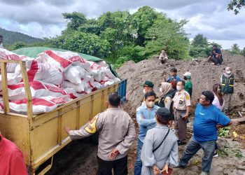 Karantina Sulawesi Utara Musnahkan 15 Ton Daging Ayam Busuk