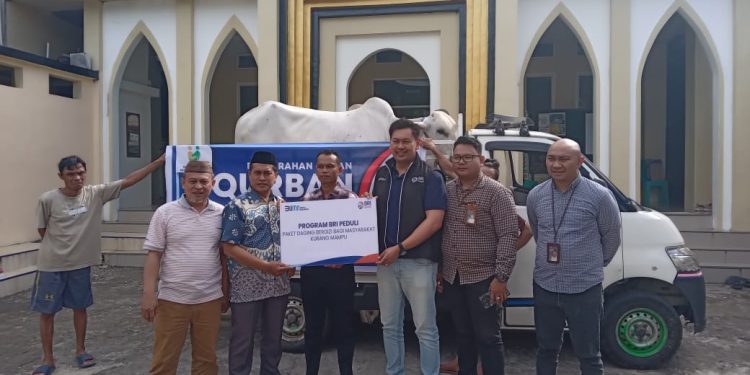 BRI RO Manado Salurkan Sapi Kurban ke 5 Masjid di Manado