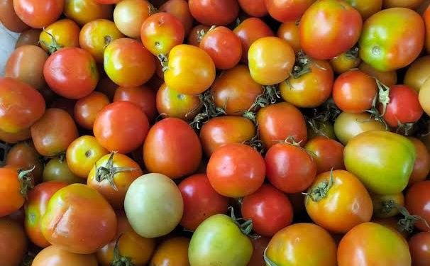 Berikut Ini Harga Barito di Pasar Bersehati Manado Versi Dinas Ketahanan Pangan Sulut