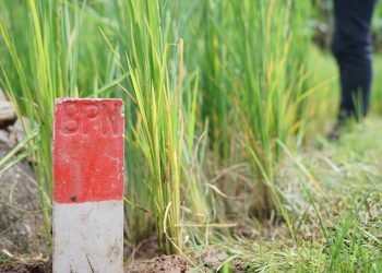 Nusron Wahid Imbau Masyarakat Pasang Patok Permanen