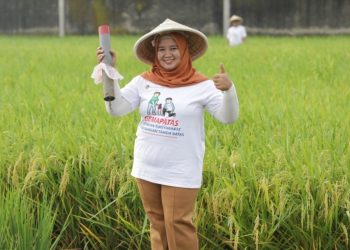 Kementerian ATR/BPN Dorong Masyarakat Pasang Patok Batas Tanah Melalui GEMAPATAS