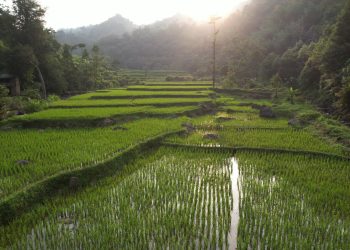 Pembangunan Harus Berkeadilan, Menteri Nusron: Reforma Agraria Jawab Ketimpangan Penguasaan dan Pemilikan Tanah