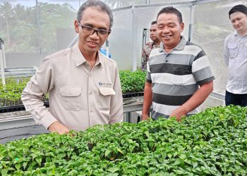 Dukung Anggota Patua, Kepala BI Sulut Kunjungi Smart Green House di Talaud