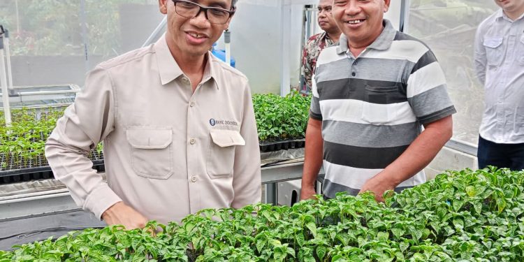 Dukung Anggota Patua, Kepala BI Sulut Kunjungi Smart Green House di Talaud