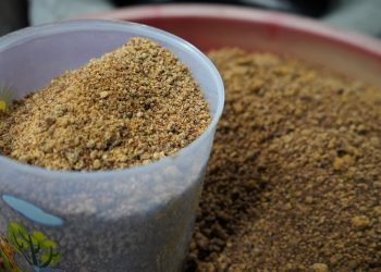 Pendampingan Usaha Gula Semut, Reforma Agraria Bangkitkan Kemandirian Ekonomi Desa Hargorejo di Kulon Progo