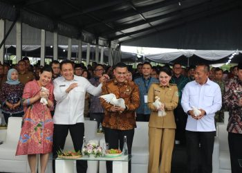 Peringatan Hari Desa Nasional 2026, Wamen ATR/BPN: Legalitas Hak Atas Tanah Penting Dukung Pembangunan Desa