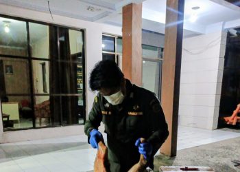 Karantina Sulawesi Utara Tahan Daging Anjing Ilegal