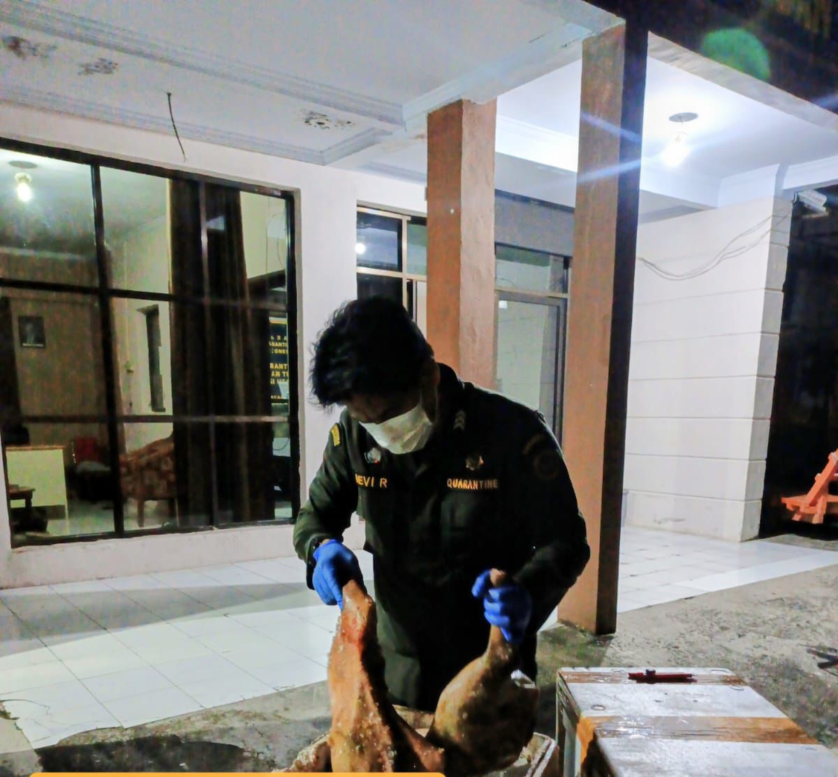 Karantina Sulawesi Utara Tahan Daging Anjing Ilegal